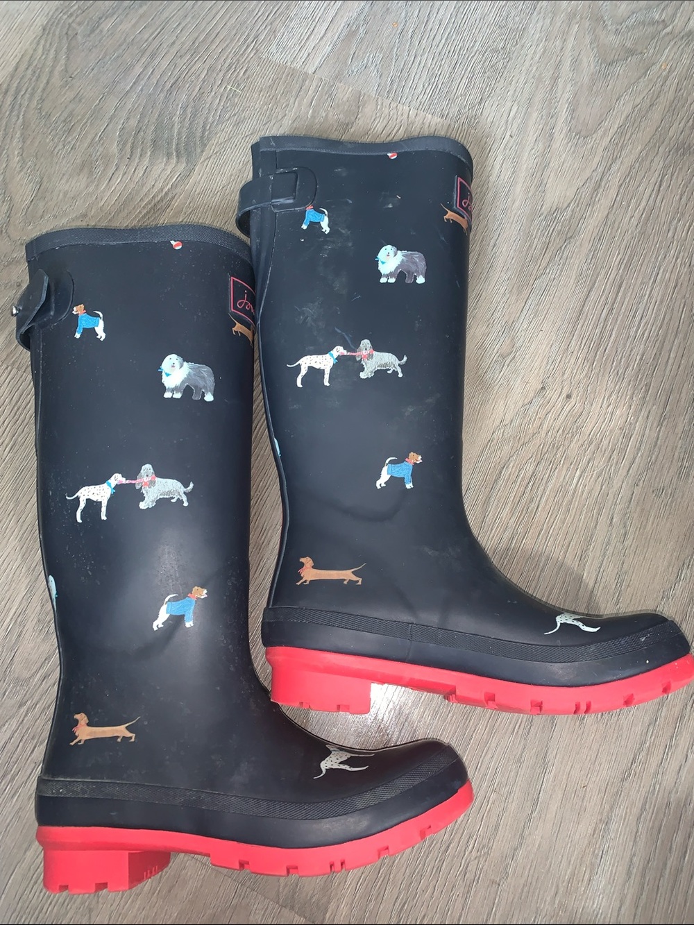 Joules Navy Blue Dog-Print Rain Boots with Red Soles